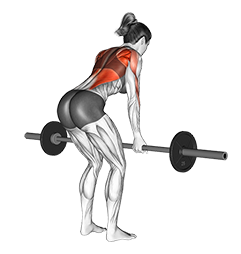 Barbell Reverse Grip Bent Over Row